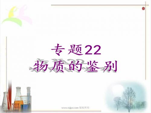 广东省中山市马新中学人教版2016年初中化学中考专题复习课件 专题