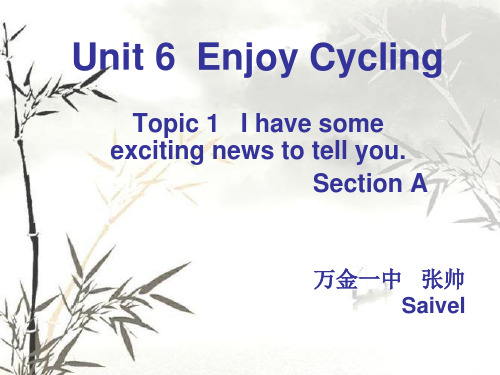 仁爱版八年级下册Unit6_topic1_SectionA_PPT