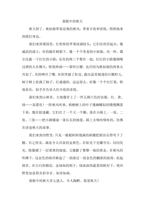 沪教版语文三年级上作文《我眼中的秋天》