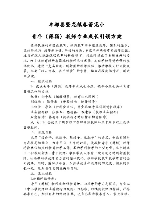 春蕾完小教师成长方案