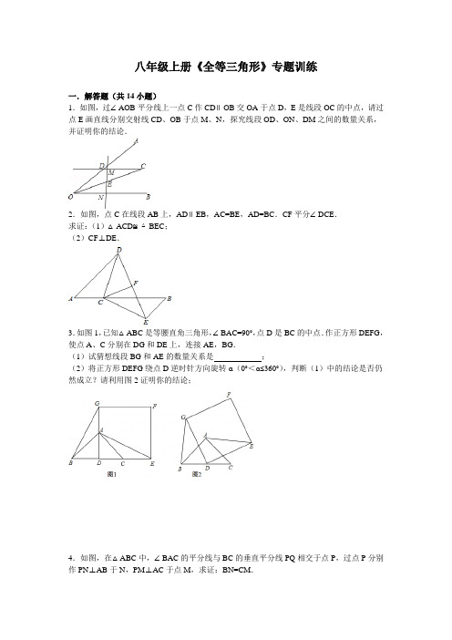 八年级《全等三角形》专题训练