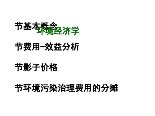 影子价格的理论计算与用途