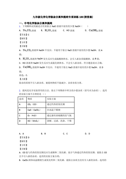 九年级化学化学除杂分离和提纯专项训练100(附答案)