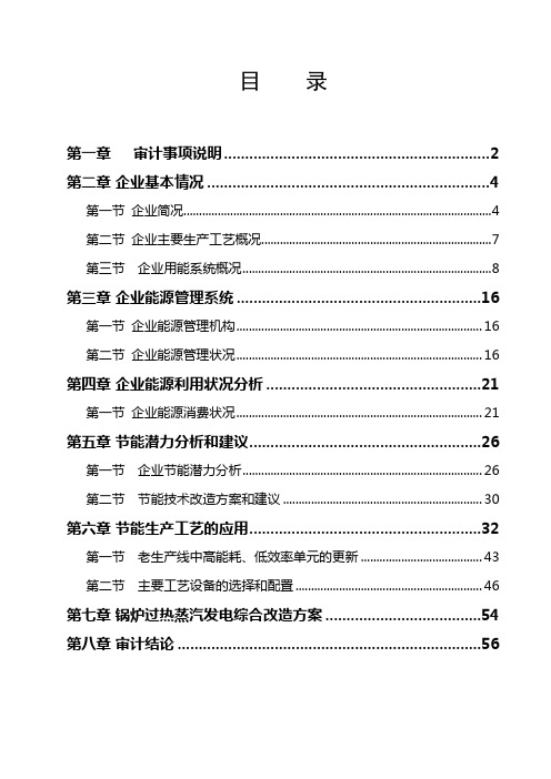 中天印染公司能源审计报告(定型)