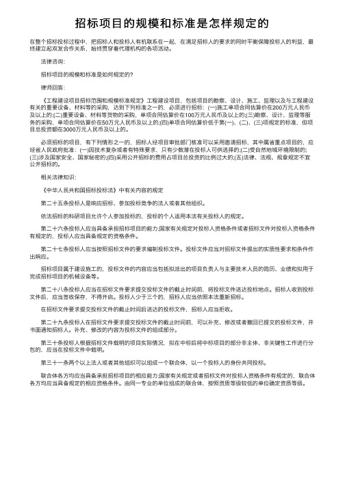 招标项目的规模和标准是怎样规定的