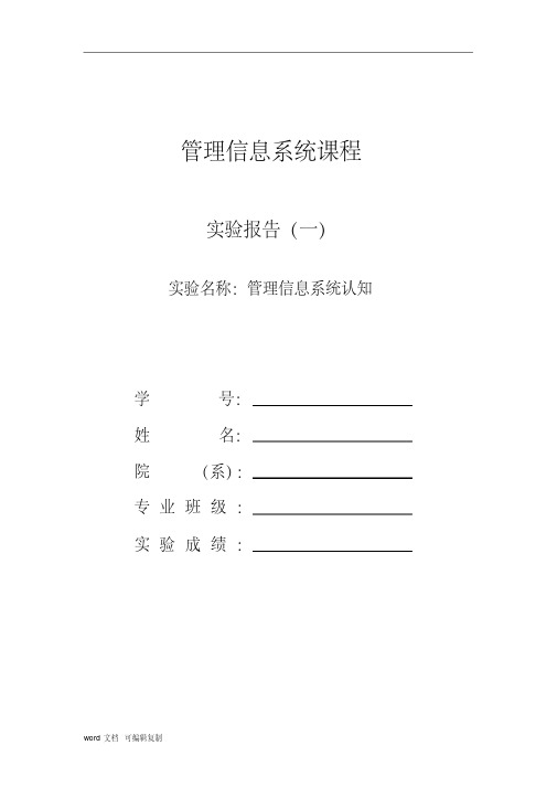 管理信息系统认知管理信息系统实验报告