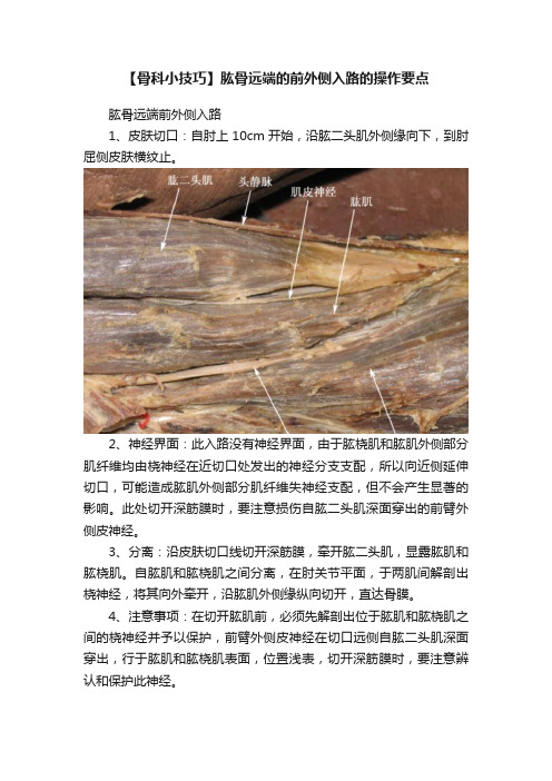 【骨科小技巧】肱骨远端的前外侧入路的操作要点