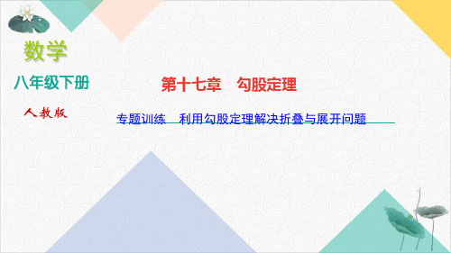 人教版八年级下册数学习题课件专题训练利用勾股定理解决折叠与展开问题