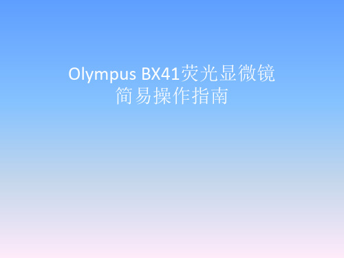Olympus BX41荧光显微镜简易操作指南