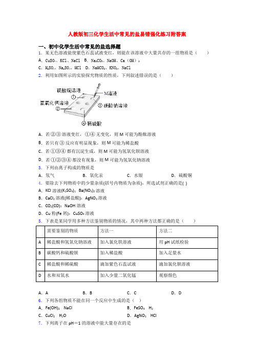 人教版初三化学生活中常见的盐易错强化练习附答案