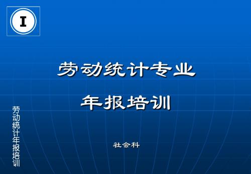 劳动统计专业年报培训社会科