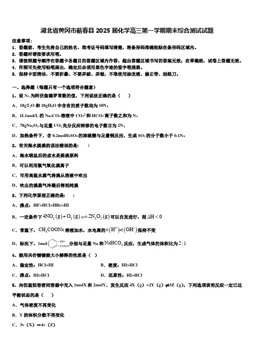 湖北省黄冈市蕲春县2025届化学高三第一学期期末综合测试试题含解析