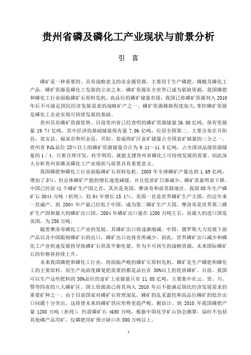 贵州省磷及磷化工产业现状与前景分析