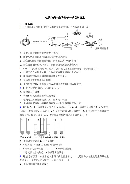 包头市高中生物必修一试卷和答案