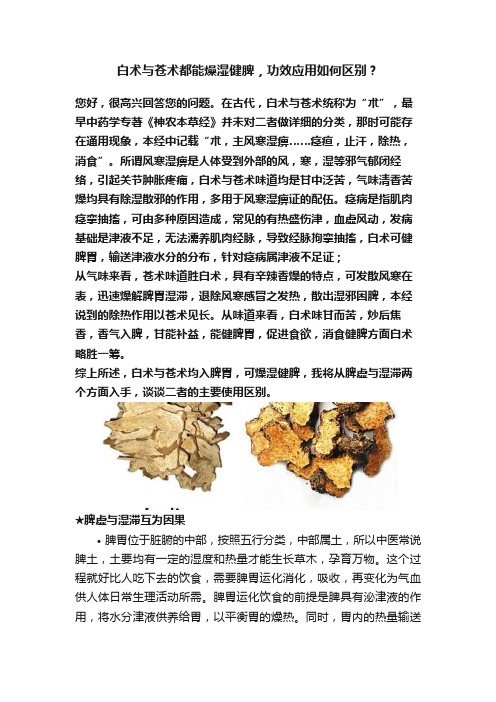 白术与苍术都能燥湿健脾，功效应用如何区别？