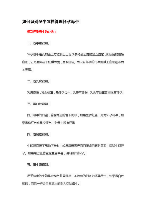 如何识别孕牛怎样管理怀孕母牛