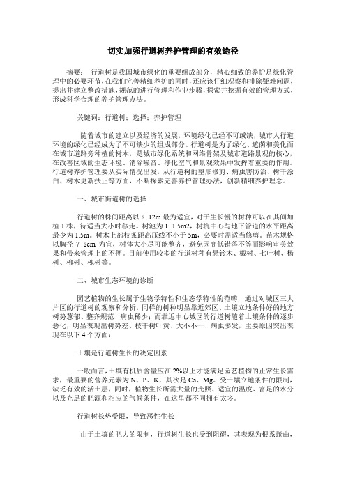 切实加强行道树养护管理的有效途径