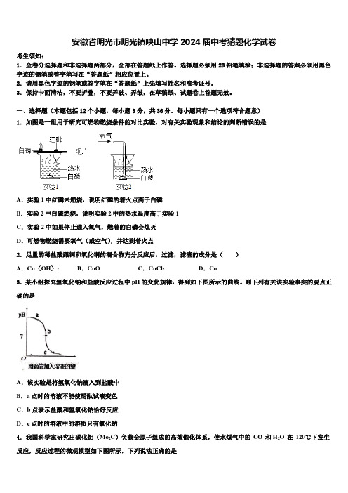 安徽省明光市明光镇映山中学2024届中考猜题化学试卷含解析