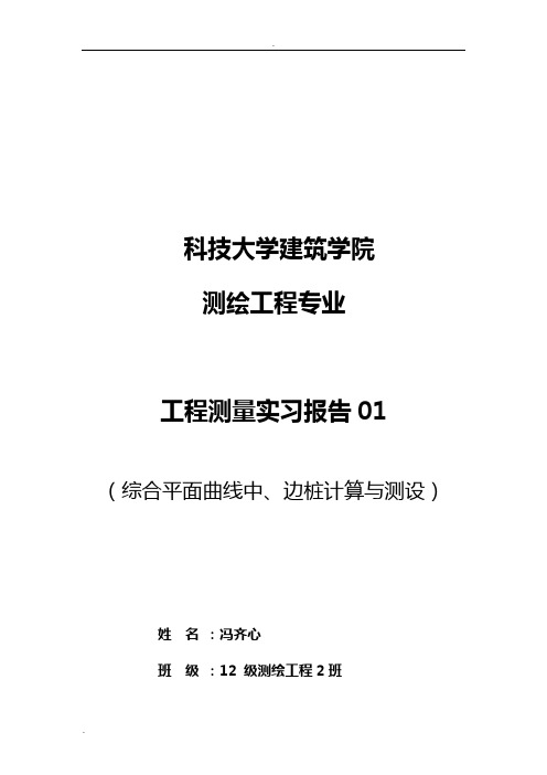 工程测量实习报告(圆曲、缓和曲线放样线)