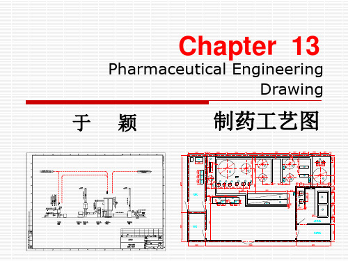 制药工程制图第13章 制药工艺图.ppt