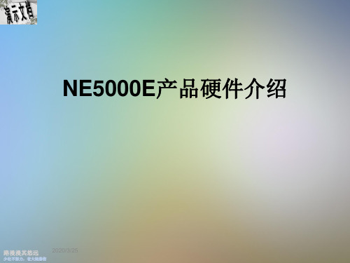 NE5000E产品硬件介绍