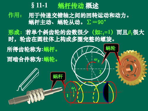 蜗杆传动概述