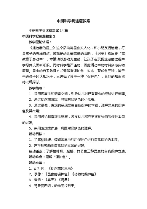 中班科学捉迷藏教案