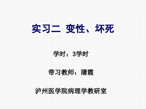 实习02 变性、坏死