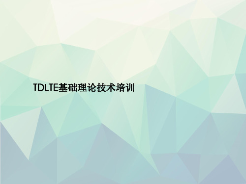 TDLTE基础理论技术培训文稿演示