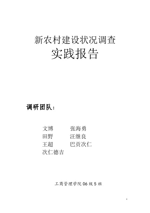 新农村建设状况调查实践报告论文 终稿