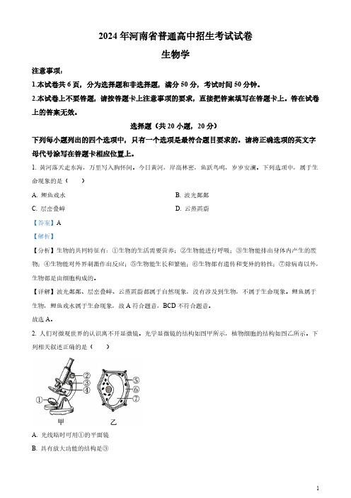 2024年河南省中考生物真题(含答案)