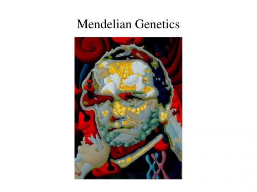 Mendelian Genetics