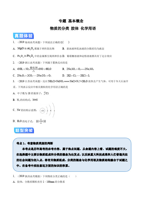 2020年高考化学专项提升 物质的分类 胶体 化学用语(疑难突破)(原卷版)