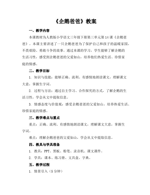 《企鹅爸爸》教案