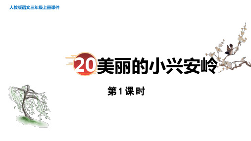 20.《美丽的小兴安岭》  第一课时 课件(共18张PPT)