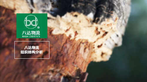八达物流组织结构分析