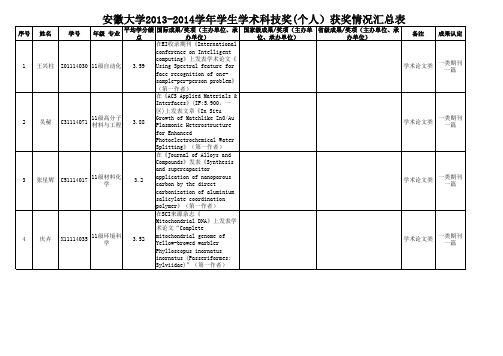 2014年安徽大学研究学术科技个人奖