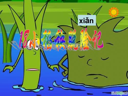 18小稻秧脱险记