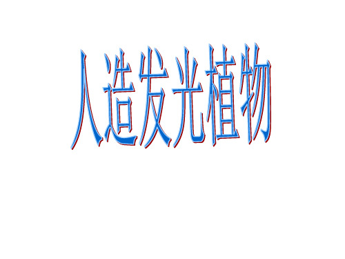 人教版小学语文四年级上册 人造发光植物 PPT课件