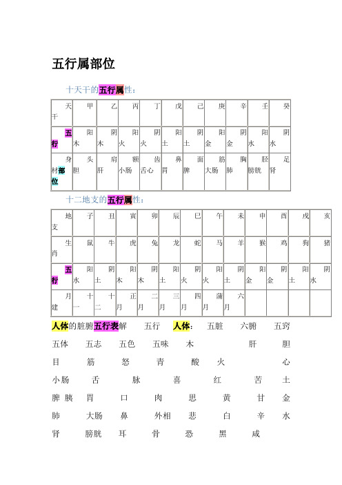 天干地支的五行属性与身体部位对应表