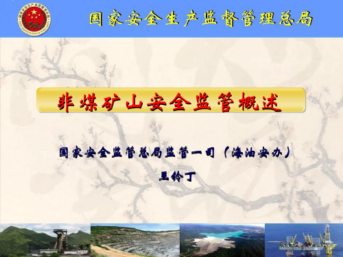 非煤矿山安全监管(PPT)