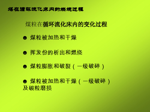 煤在循环流化床内的燃烧过程(3)