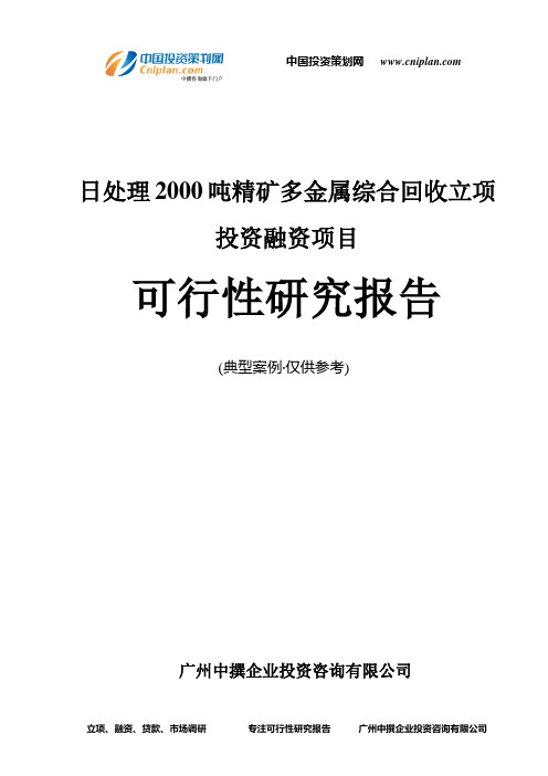 日处理2000吨精矿多金属综合回收融资投资立项项目可行性研究报告(中撰咨询)