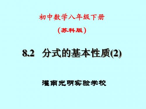 8.2分式的基本性质(2)