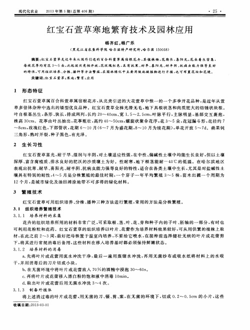 红宝石萱草寒地繁育技术及园林应用