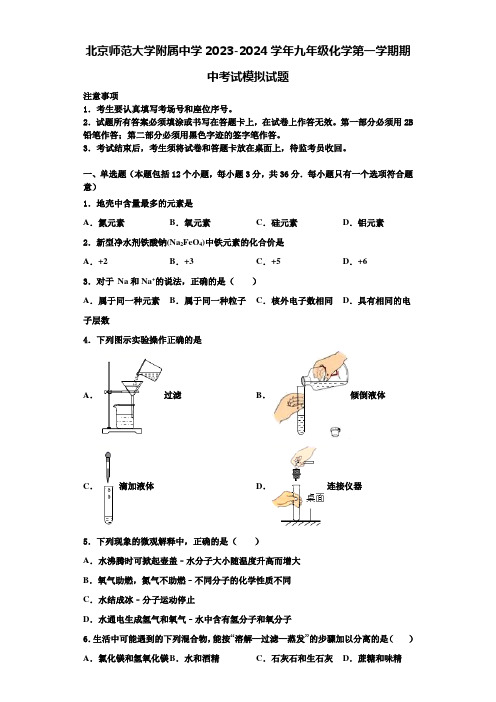 北京师范大学附属中学2023-2024学年九年级化学第一学期期中考试模拟试题含解析