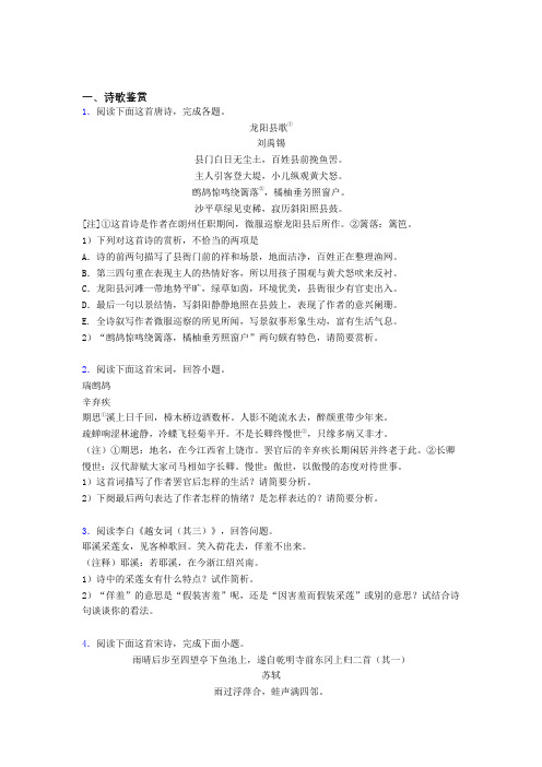 广西省梧州市高一上学期语文40诗歌鉴赏题专项训练word含答案