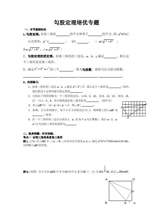 勾股定理的培优专题