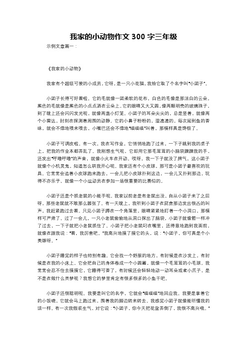 我家的小动物作文300字三年级