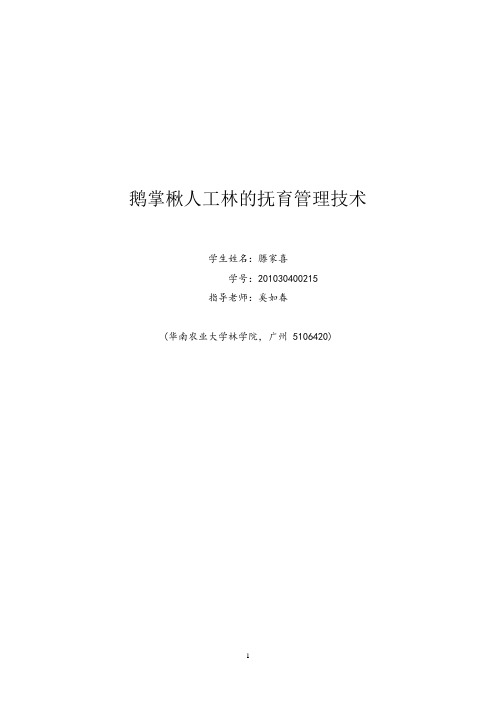 杂交鹅掌楸的抚育管理技术分析解析